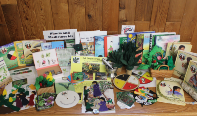 Plants and Medicine Kit